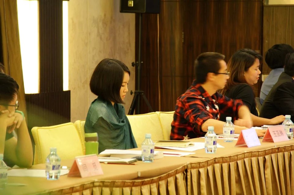 耳语同传-中国企业海外投资环境与社会影响