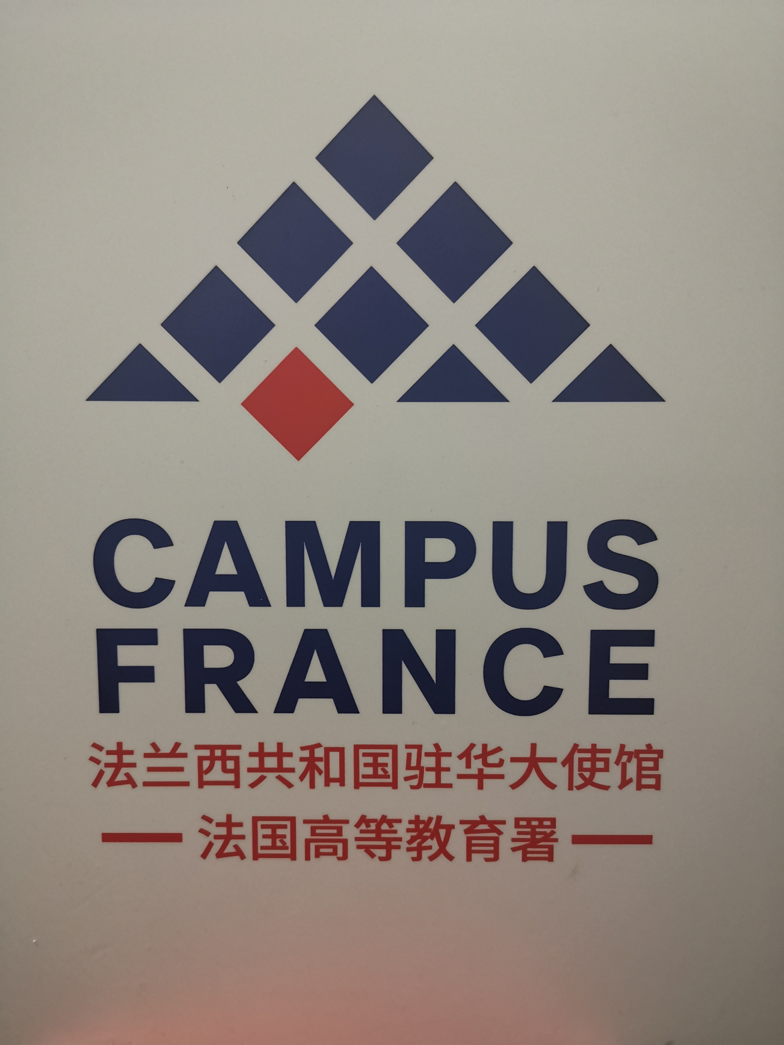 在华法语联盟研讨会